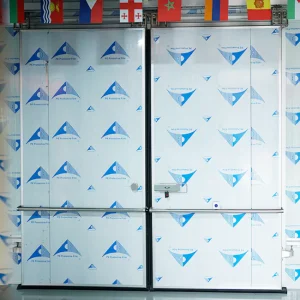 Automatic Sliding Door